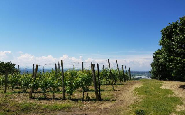 La Collina dei Passeri