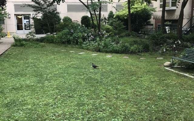 My Favorite Place-NYC-Shared Apartment