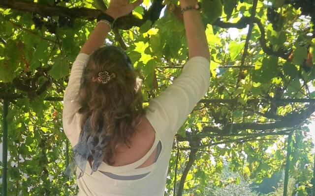 Apartment With 2 Bedrooms in Pula, With Furnished Terrace and Wifi - 2 km From the Beach