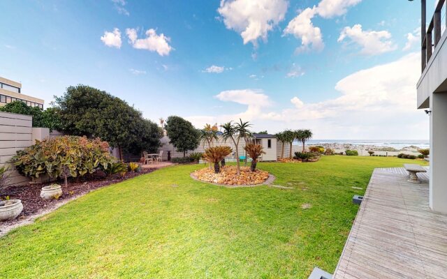 Executive Beach Beauty