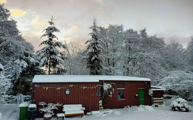 Forest Way Bunkhouse
