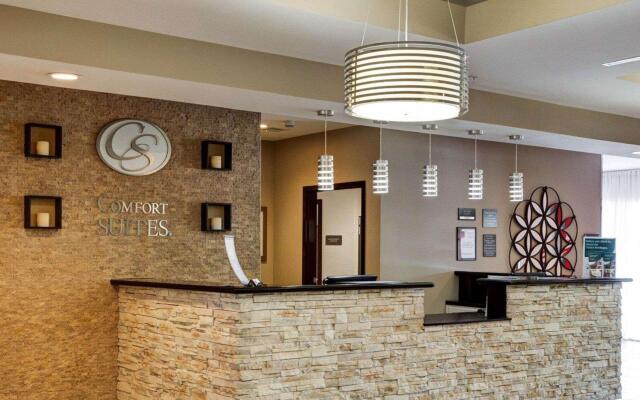 Comfort Suites Denham Springs