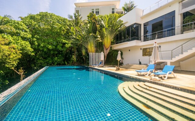 The Palm at Veloche by Lofty