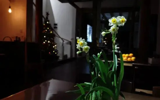 Tonglu Ru shi zhu homestay