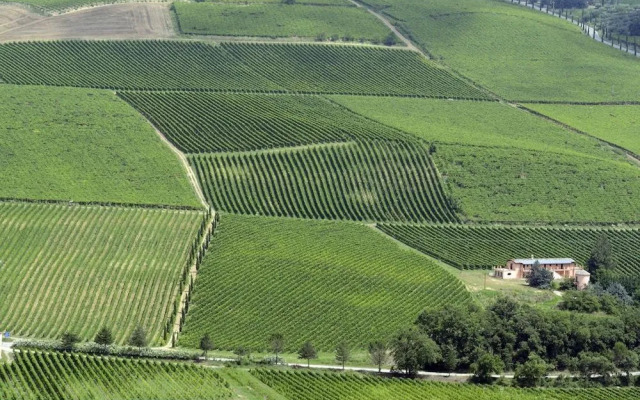 Agriturismo Contado San Lorenzo