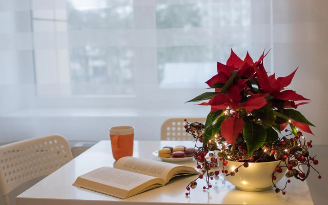 Spa Druskininkai Apartment