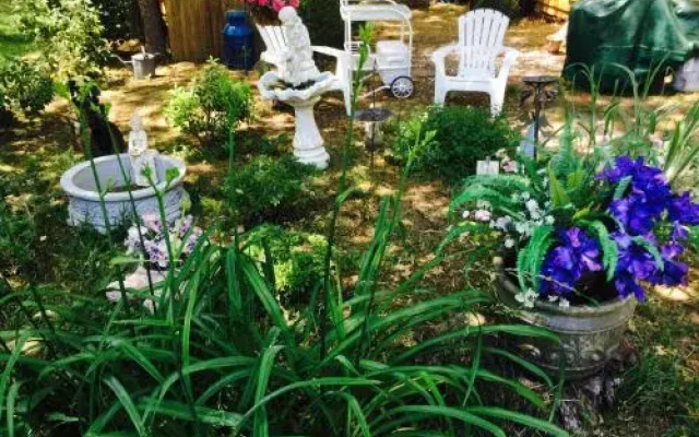 Clear Pond Suite