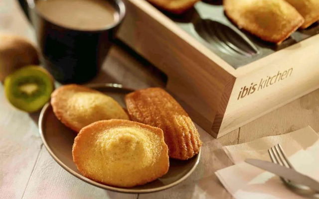 ibis Nuits Saint Georges