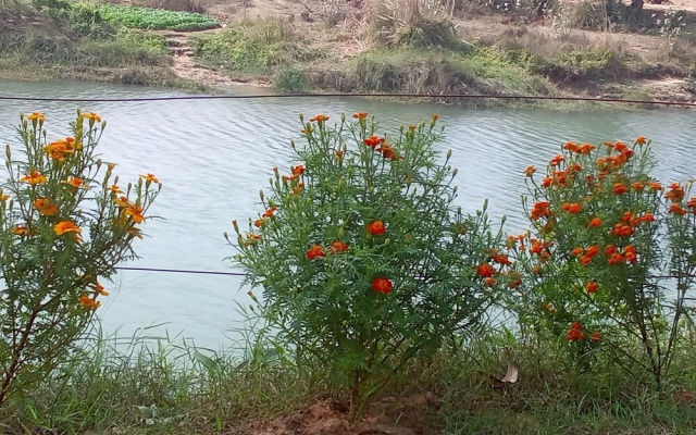 Neel Nirjan Resort