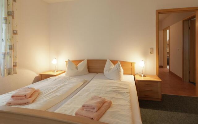 Modern Apartment in Reinhardtsdorf-Schona near Ski Slopes