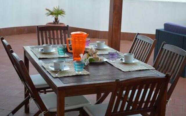 Penthouse Terrace View