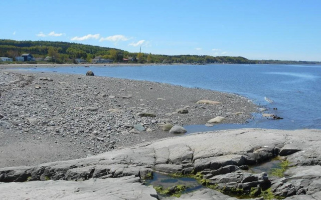 Gï¿½te Le Bouquet de marguerites