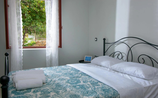 Pavlakis Lemon-Tree House