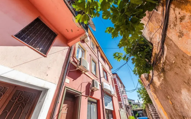 The Vibrant Hub in Shkod r