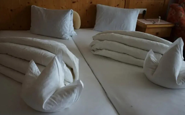 Hotel Steinegger