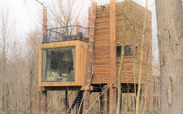 Luxury Tree Loft Tree Cabin for 4 People 4