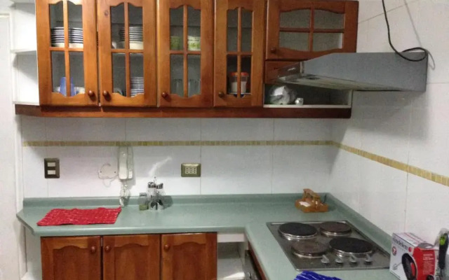 Mirador Villarrica Apartment