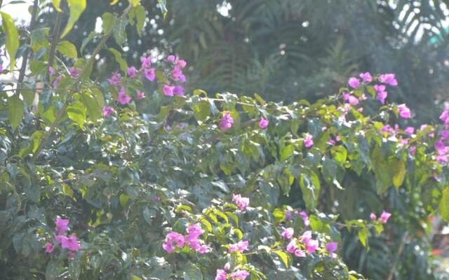 Fabhotel Royal Green Buds