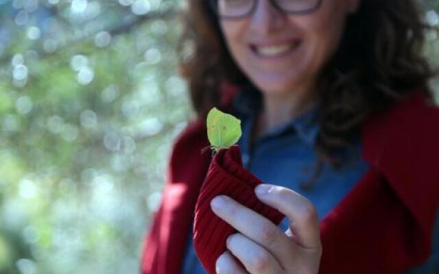 Militello Albergo Diffuso