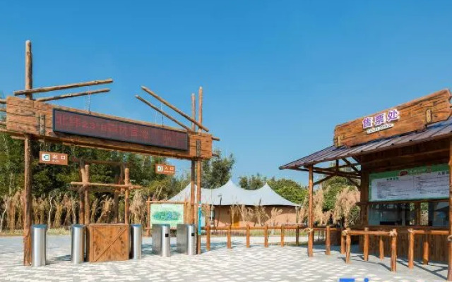 North Latitude Forest Camp