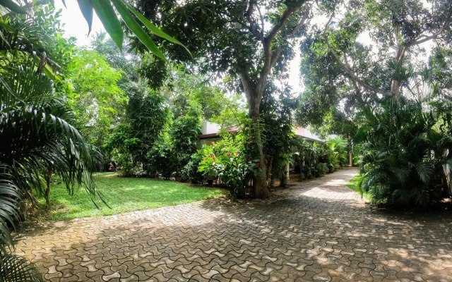 Yala Southern Homestay