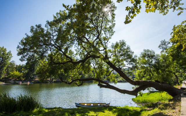 Des Arts- Guesthouse - Hostel