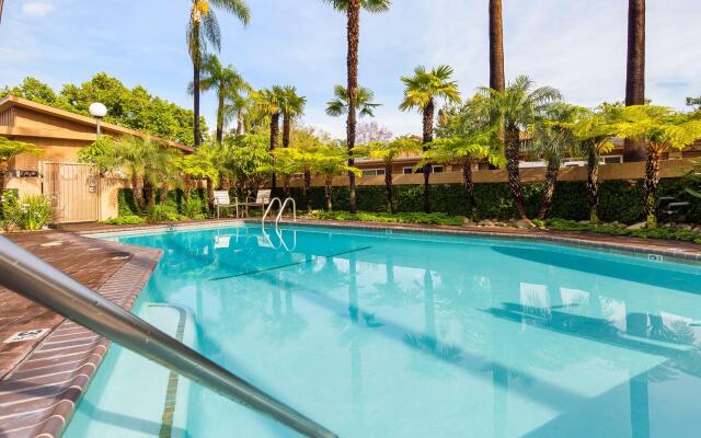 Best Western Pine Tree Motel