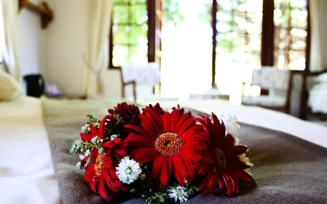 Storms River Guest Lodge