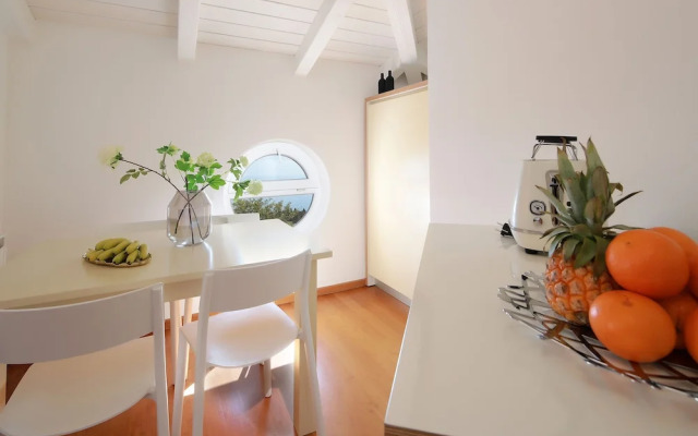 New Luxury Apartments