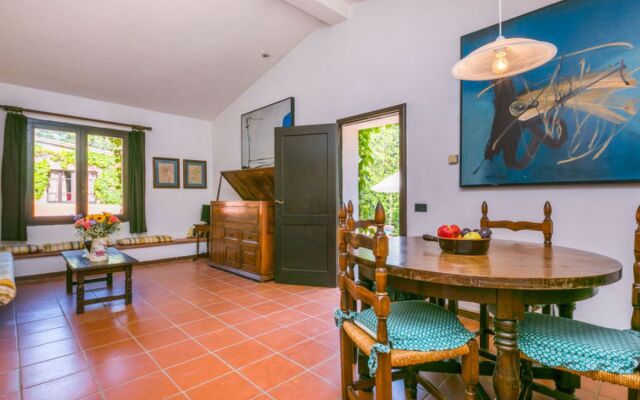 Bardeggiano - Caterina 6 (COL242)