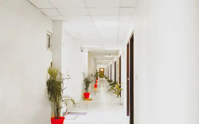 Roomshala 124 Royal inn Rohini