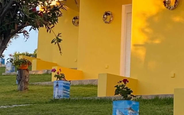 Studio Dalkidi