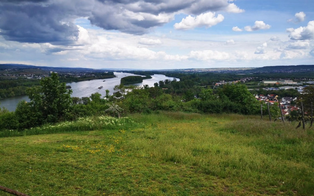 Rheinufer am Hindenburgpark