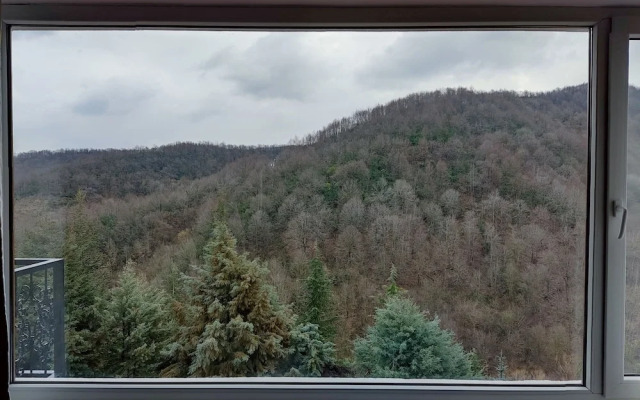 Asr-ı Ala Thermal Yalova