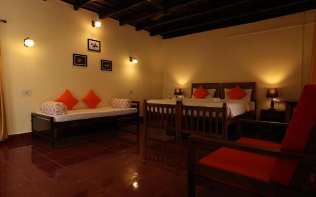 Avadale Coorg Stag - Groups Not Allowed