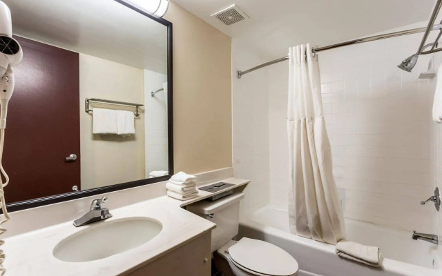 Tropical Palms Hotel