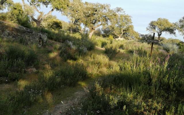 Monte da Fonte Santa de São Luís