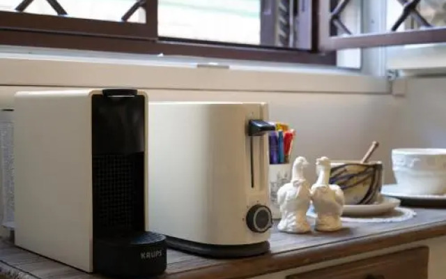 I Gatti di Roma - BB