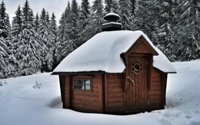 Cihlářka - horský apartmán 103