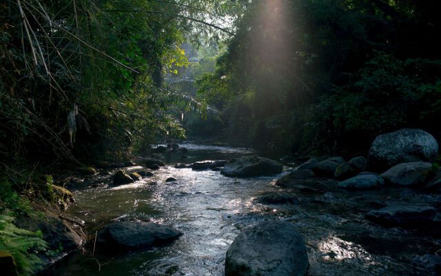 Villa Annapurna River View