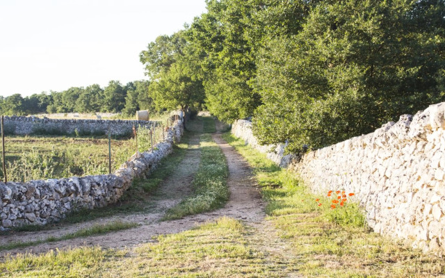 Trulli sul vignale in Masseria Santalachicca