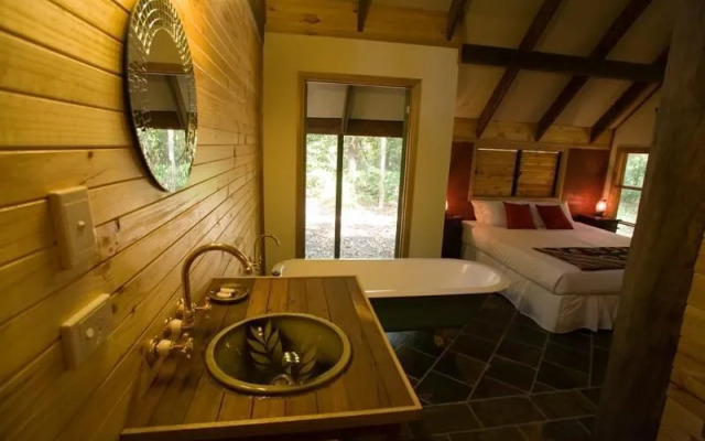 Rainforest Ranch