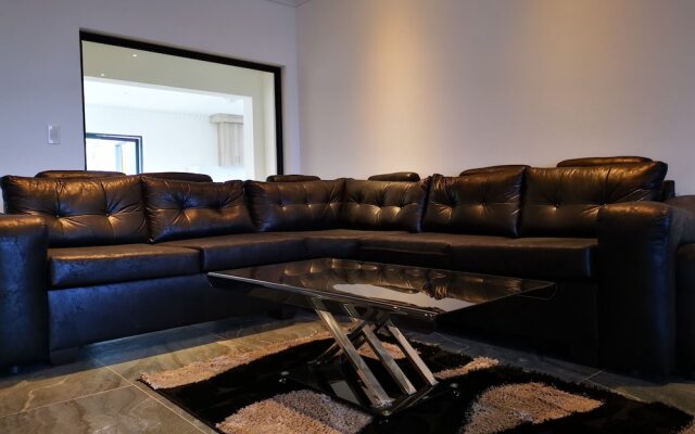 Green Olive Panorama