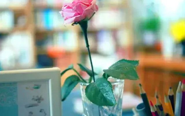 Shengshengman Hostel(苏州声声曼民宿)