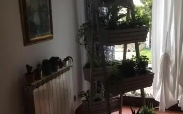 BB Casa Tomato
