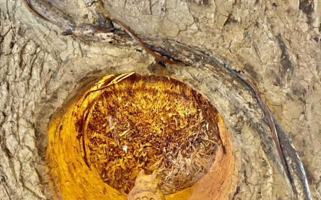 Tida House - Vacation STAY 07404v