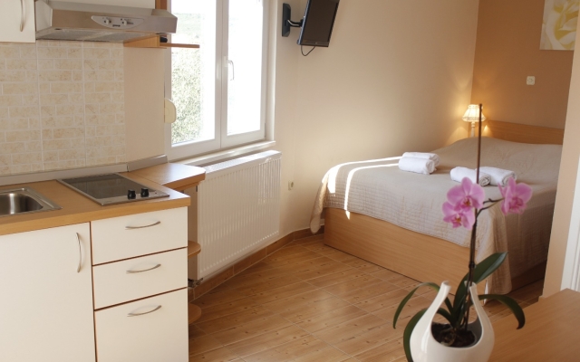 Studio apartment Old Stone: SA1 Sukosan, Zadar riviera