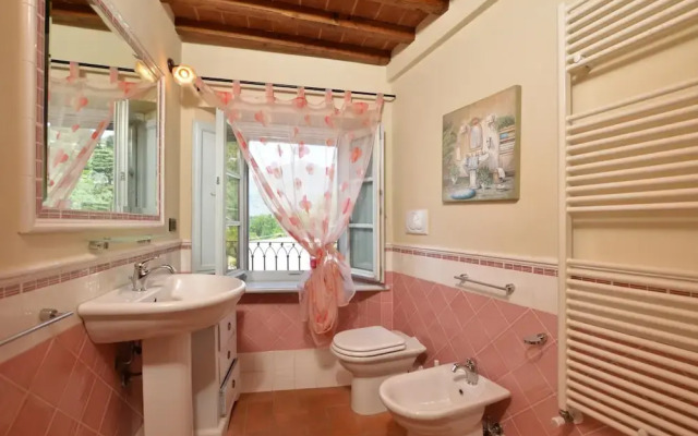 Ginepro Grillo in Camaiore