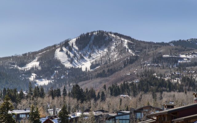 White Pines 1BD at Westgate