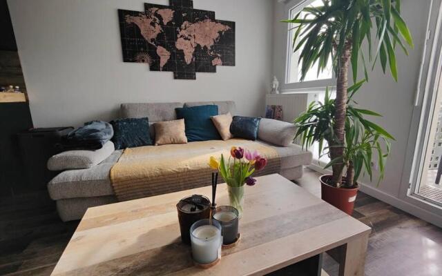 Cosy appartement avec balcon exposé SUD
